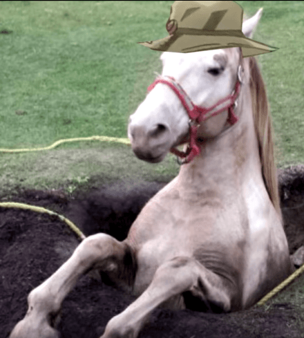 avatar Hole Horse