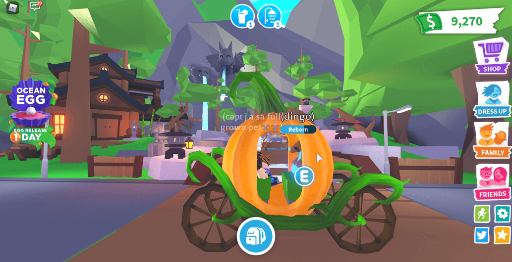 Product Showcase