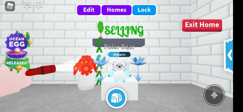 Product Showcase