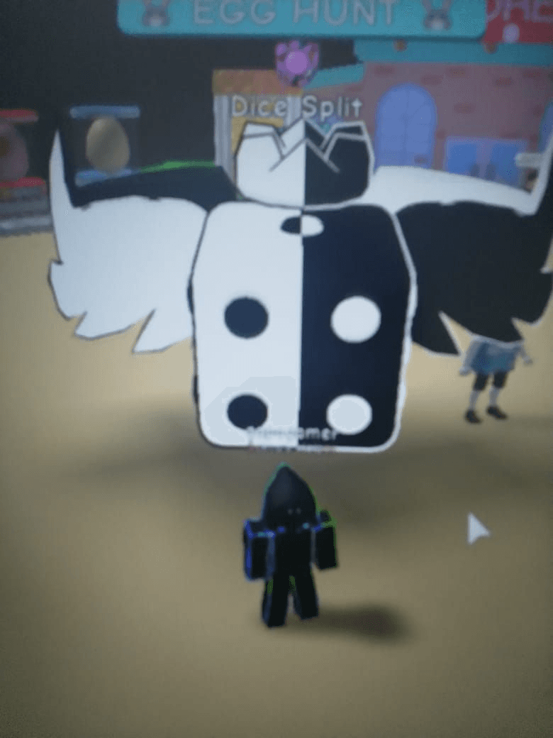 Product Showcase