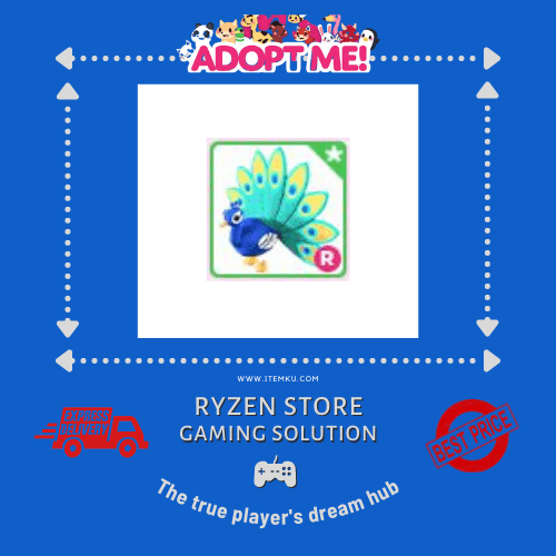 Product Showcase