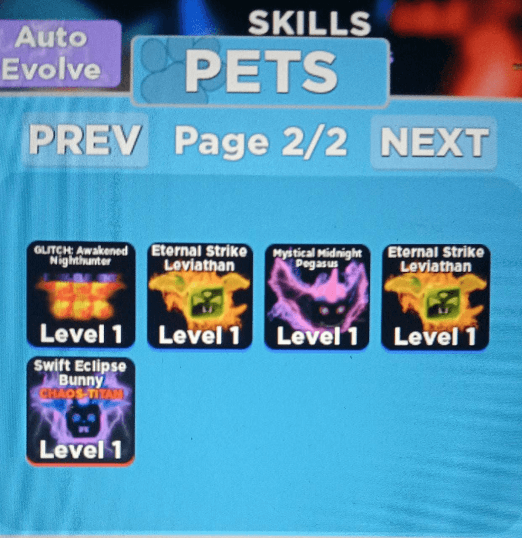 Product Showcase
