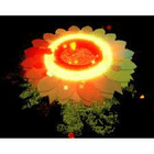 product-image-0