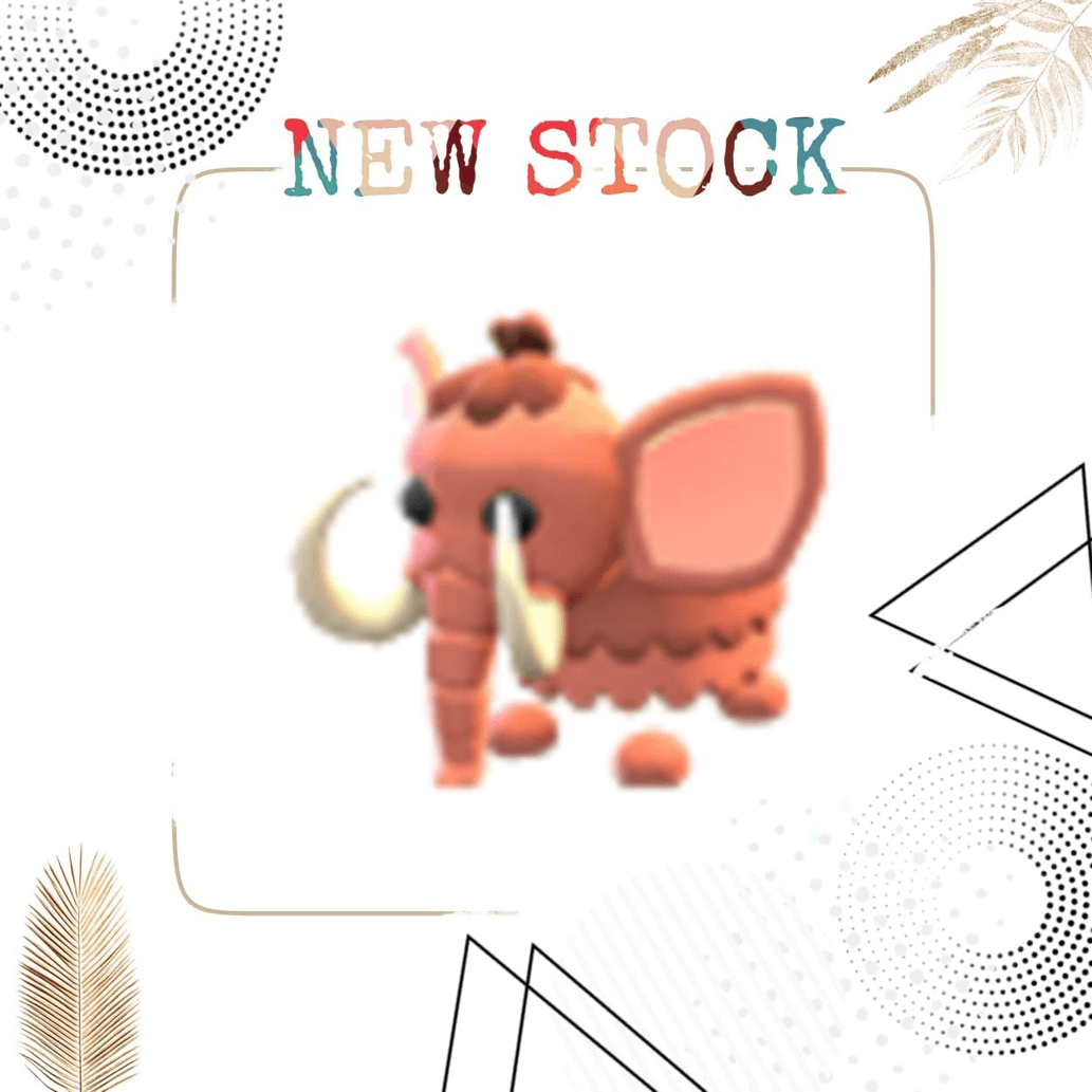 Product Showcase