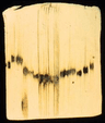 seller-image