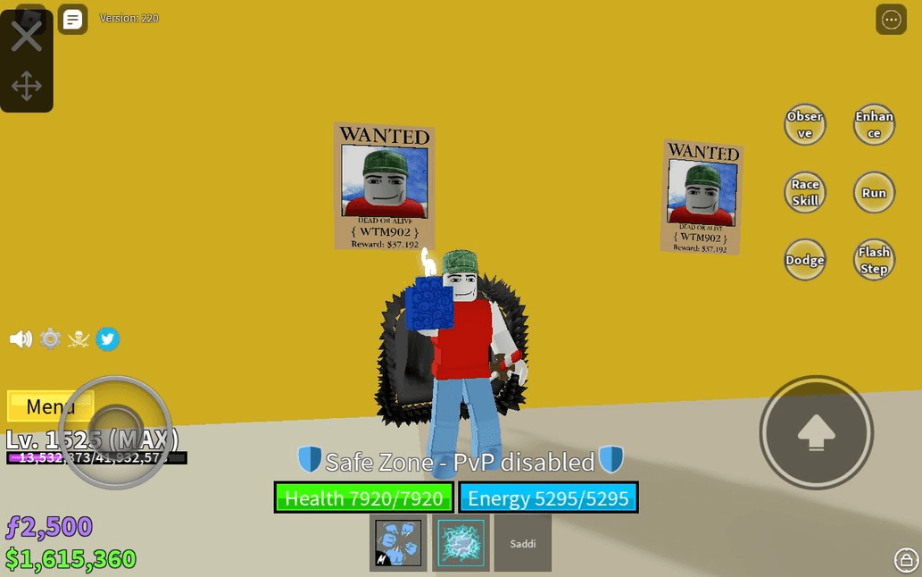 Product Showcase