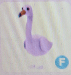 product-image-0