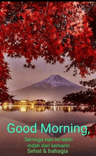 seller-image