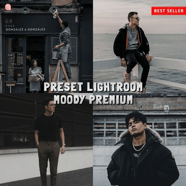 Gambar Product 10 Preset Lightroom - Moody Premium