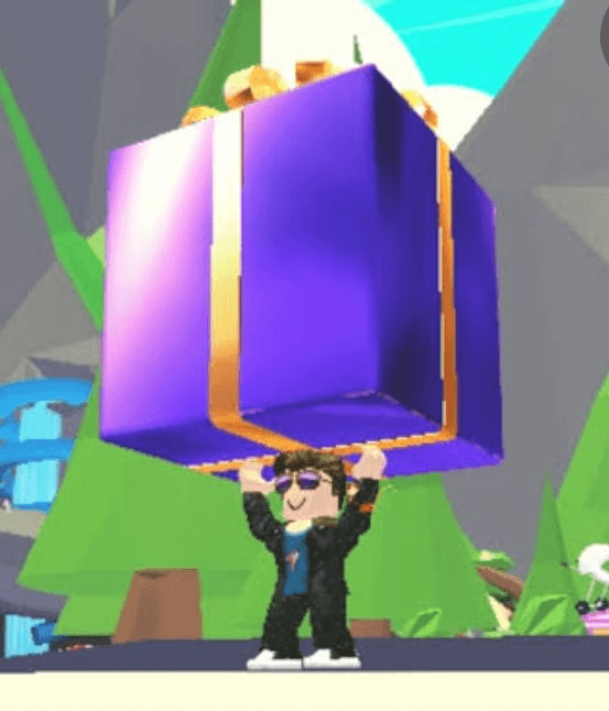 Product Showcase