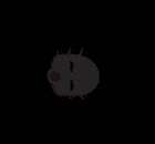 product-image-0
