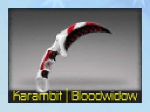 Product Showcase