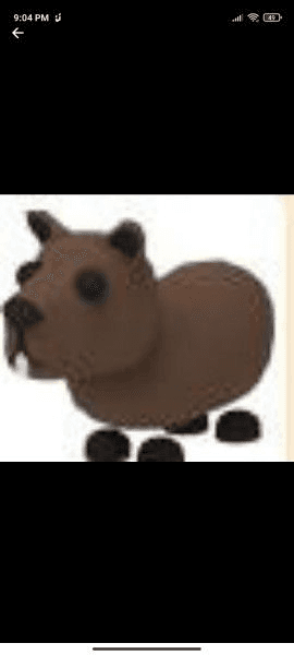 product-image-0