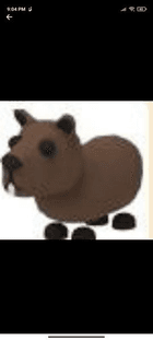 product-image-0