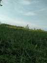 seller-image