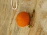 seller-image