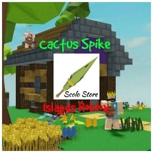 Product Showcase