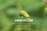 seller-image