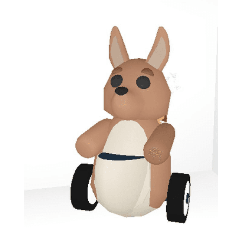 Product Showcase