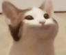 storeAvatar
