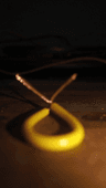 seller-image