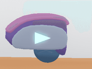 Product Showcase