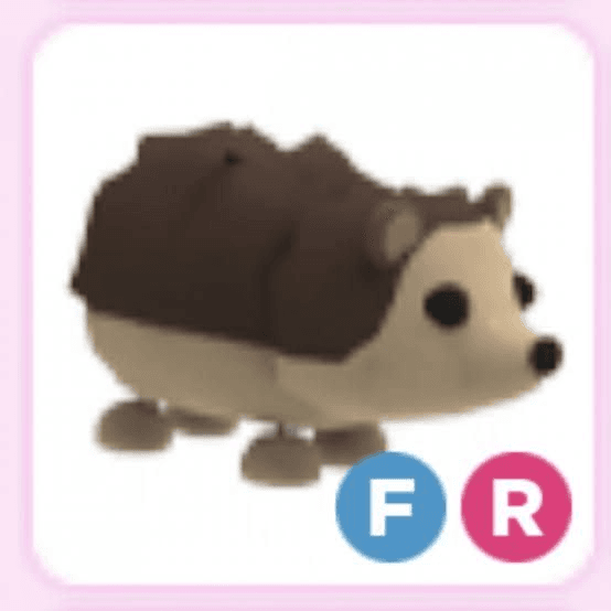 Product Showcase