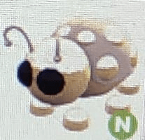 product-image-0