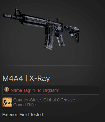 Gambar Product M4A4 | X-Ray (Covert Rifle)