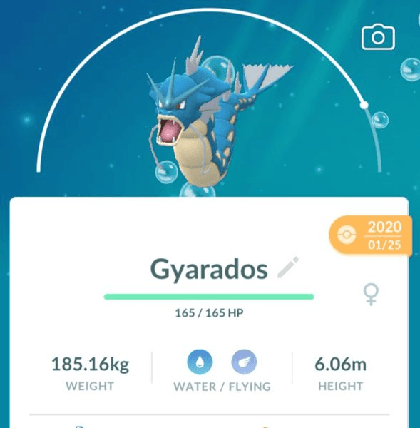 Gambar Product Gyarados