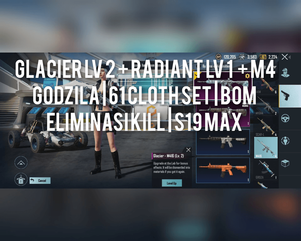 Product Showcase