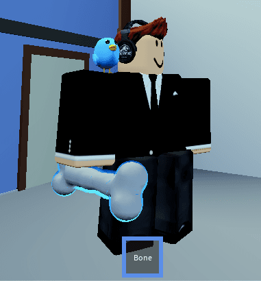 Product Showcase