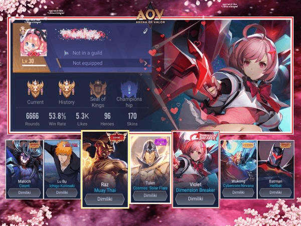 Gambar Product AOV Sultan account { HERO 96 SKIN 170 } DB DIVINE