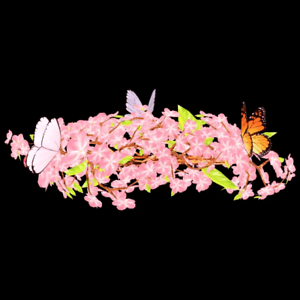 product-image-0