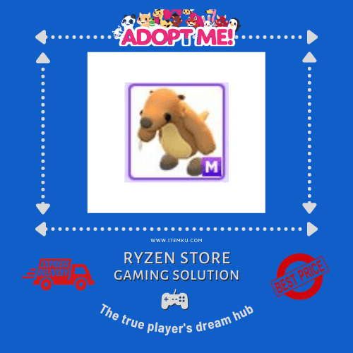 Product Showcase