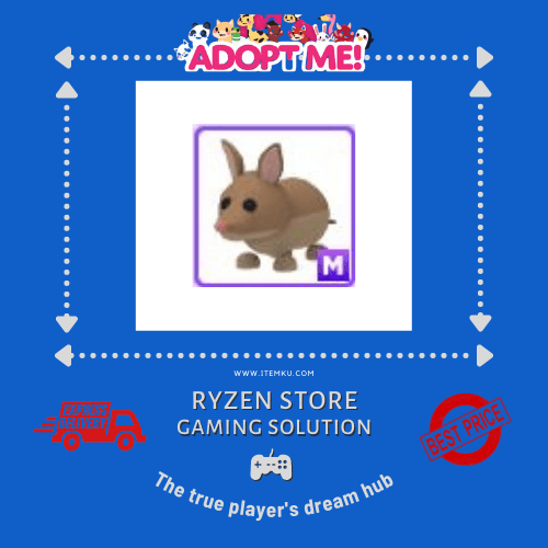Product Showcase