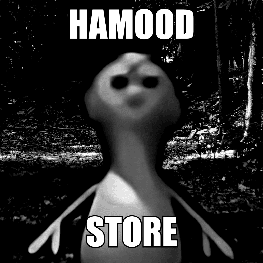 avatar Hamood Store