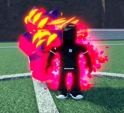 Product Showcase