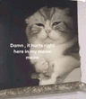 seller-image