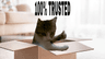 seller-image
