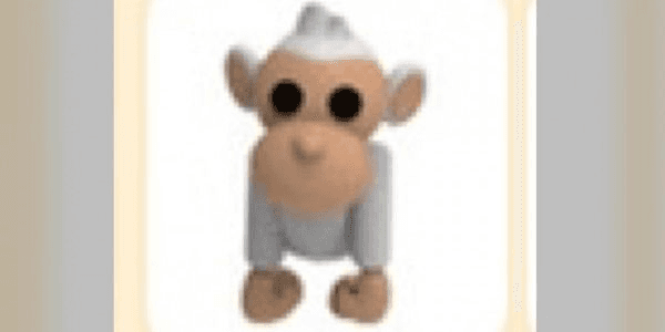 product-image-0