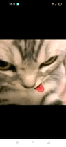 storeAvatar