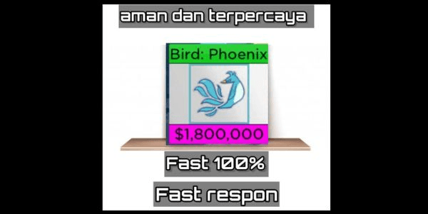 Gambar Product pheonix fruit