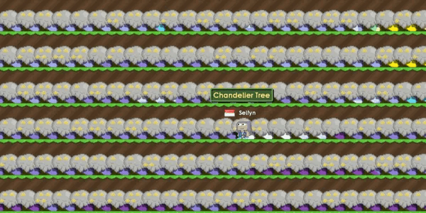 CHAND READY FARM/CHANDELIER FARM (FULL READY HARVEST 2645 SEED)