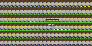 CHAND READY FARM/CHANDELIER FARM (FULL READY HARVEST 2645 SEED)
