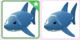 Sharks