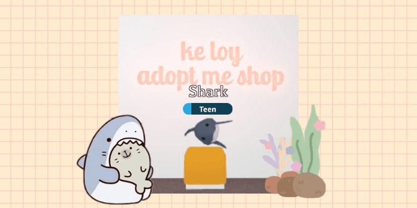 Product Showcase