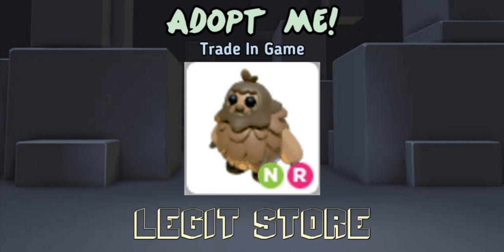 Product Showcase