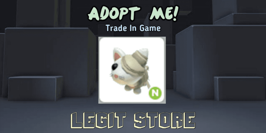 Product Showcase
