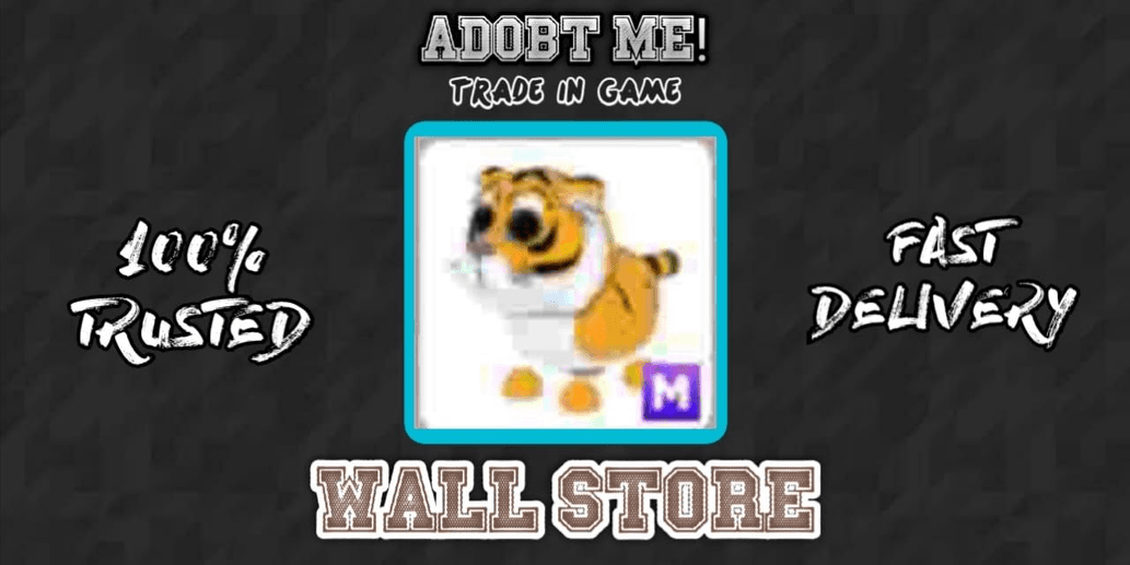 Product Showcase